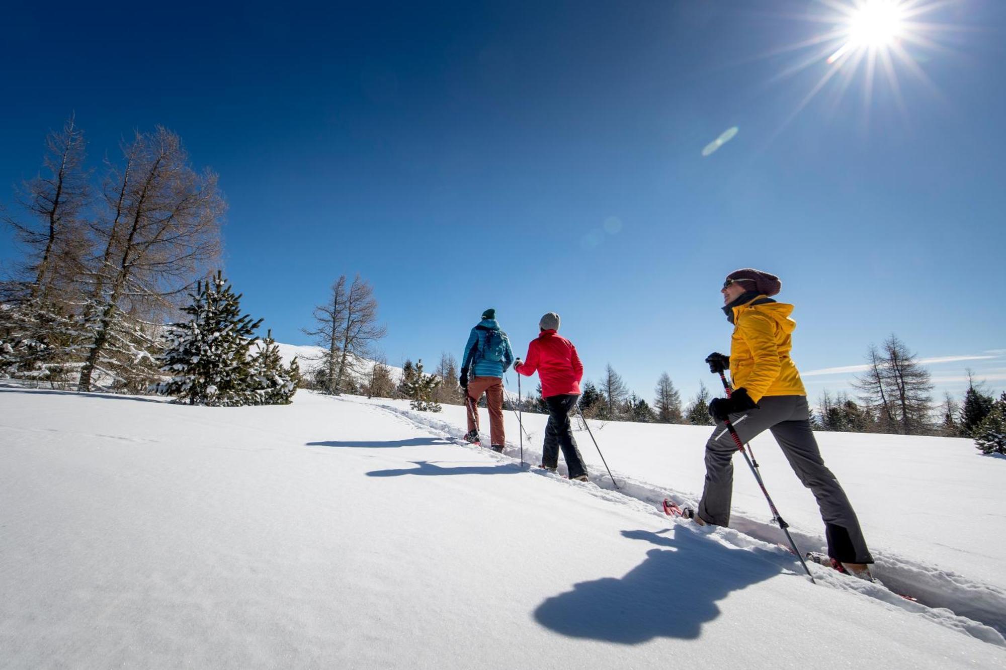 Ferienpark Kreischberg By Alps Resorts Sankt Lorenzen ob Murau Esterno foto