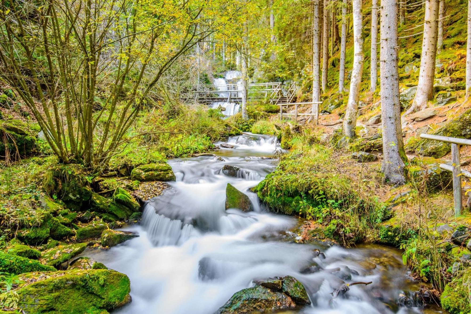Ferienpark Kreischberg By Alps Resorts Sankt Lorenzen ob Murau Esterno foto